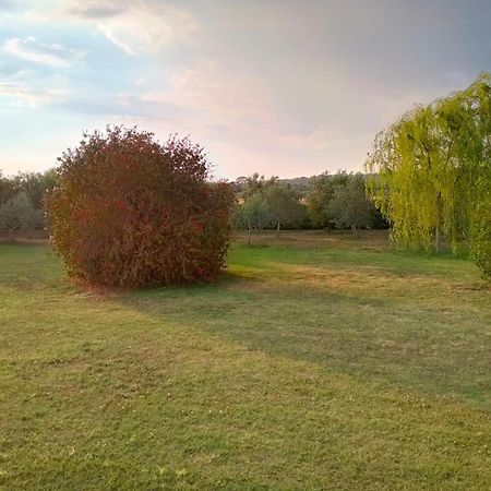 Agriturismo Lungo Albegna Manciano Bagian luar foto