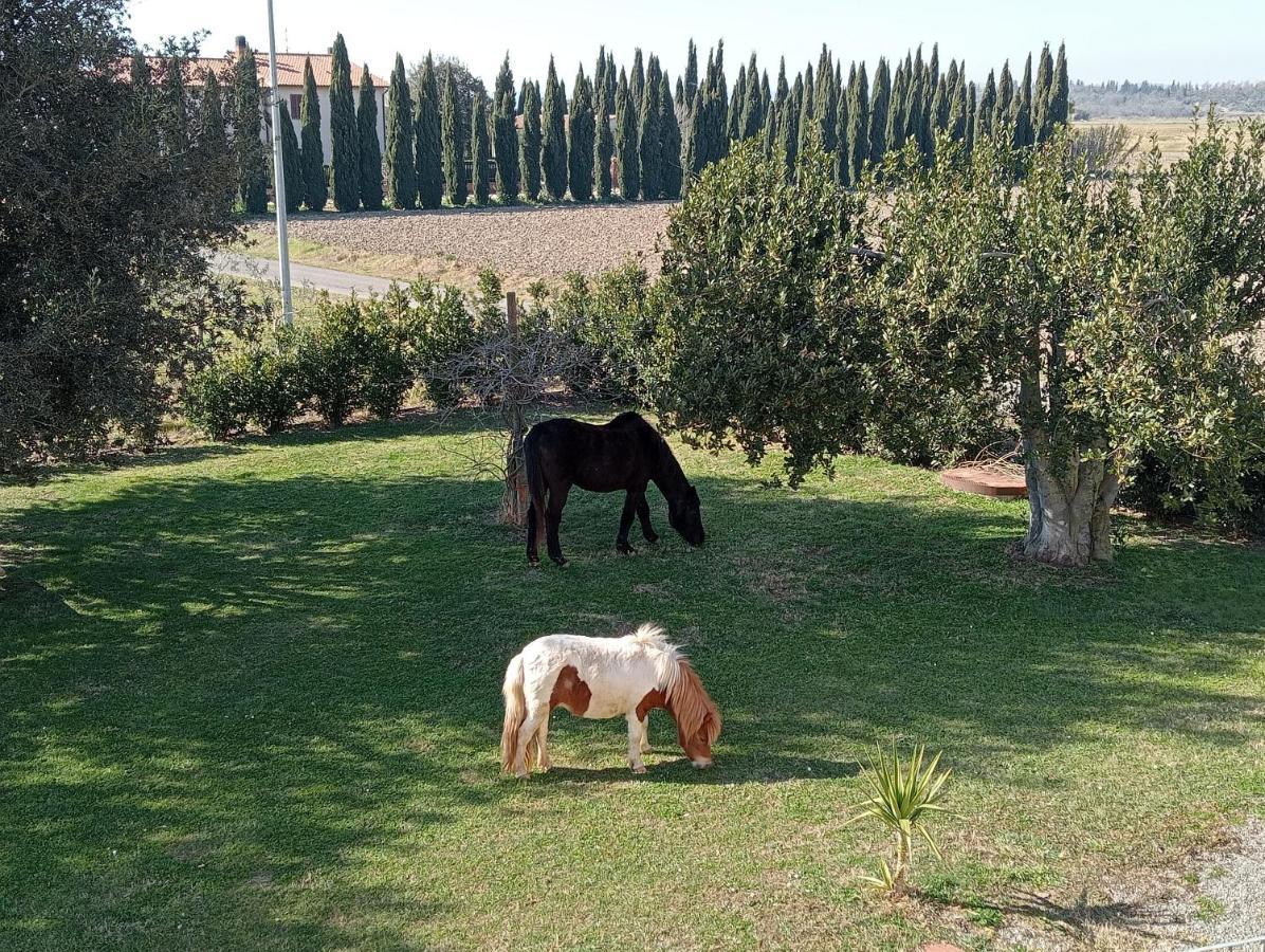 Agriturismo Lungo Albegna Manciano Bagian luar foto