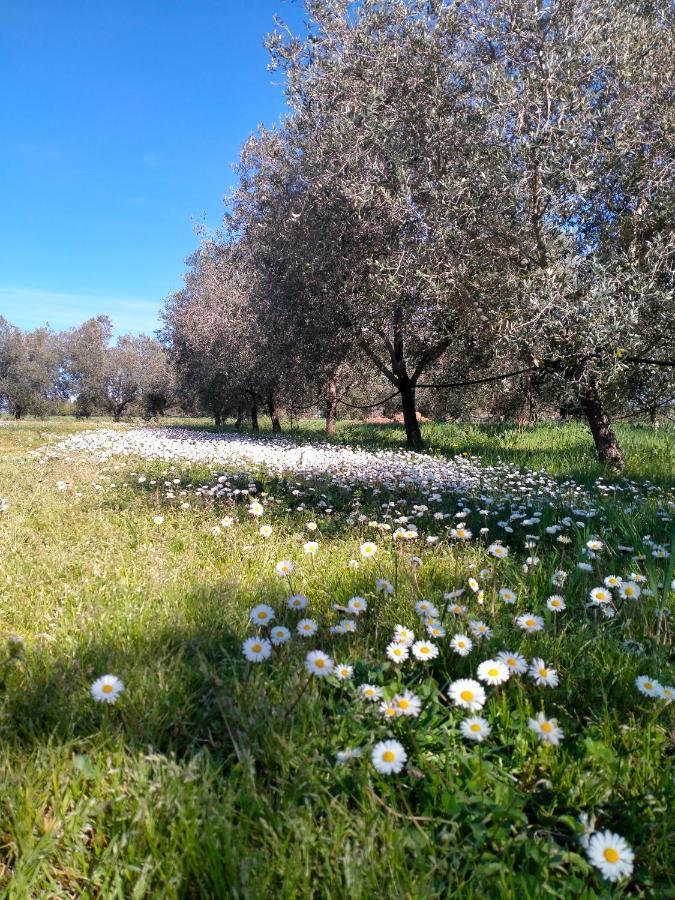 Agriturismo Lungo Albegna Manciano Bagian luar foto