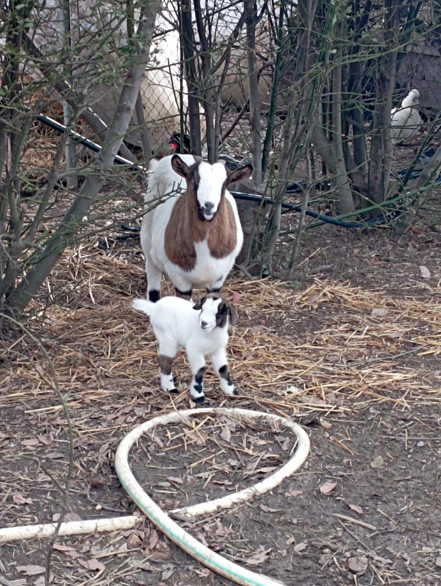 Agriturismo Lungo Albegna Manciano Bagian luar foto