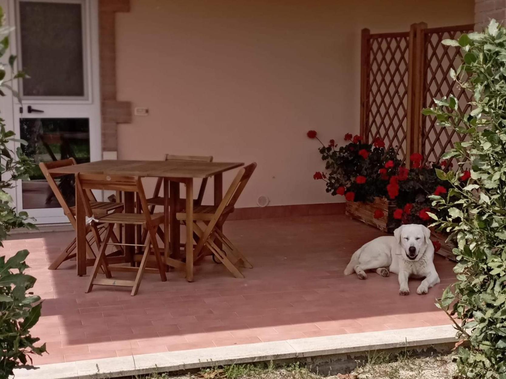 Agriturismo Lungo Albegna Manciano Bagian luar foto