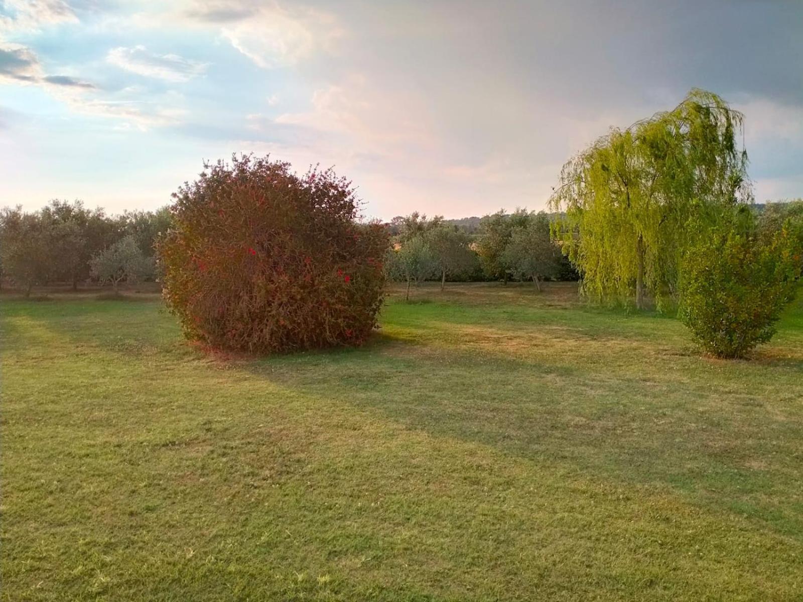Agriturismo Lungo Albegna Manciano Bagian luar foto