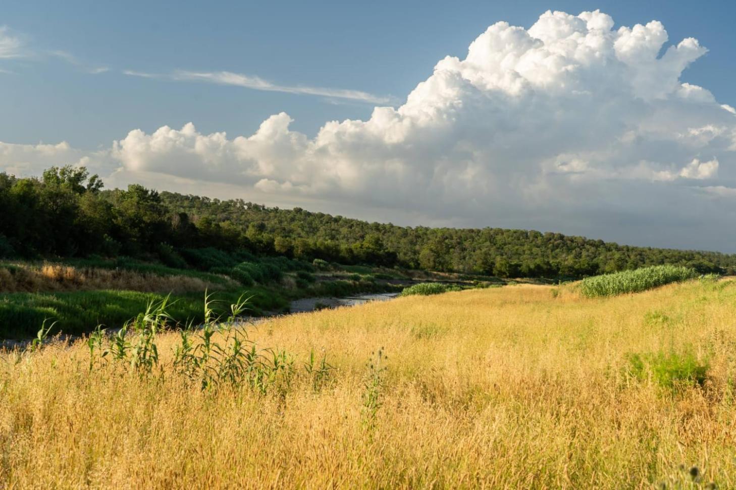 Agriturismo Lungo Albegna Manciano Bagian luar foto