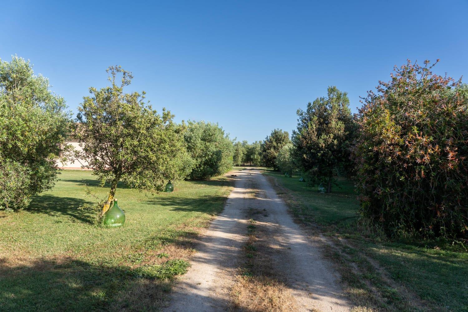 Agriturismo Lungo Albegna Manciano Bagian luar foto